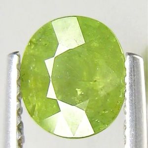 1.53ctw Demantoid Green Garnet • Natural + Untreated